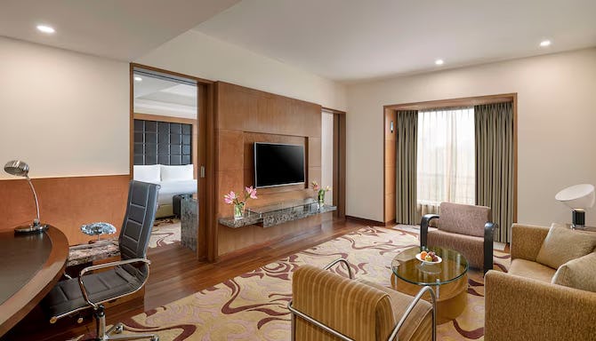 radisson-blu-plaza-delhi-suite_6582