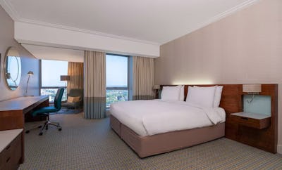 Executive Room with Lounge Access - Park View