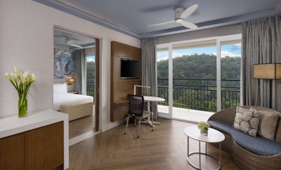 Suite - Lake View