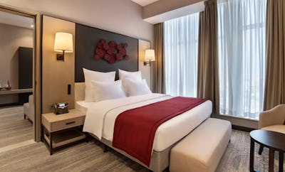 Standard Elite Suite