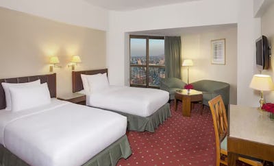 Twin Guest Room with Nile View