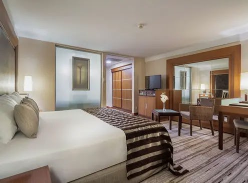 Standard Room, Mountain View