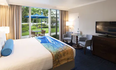 Resort View 1 King Bed