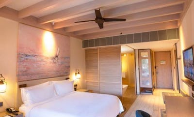 Family Connected Rooms - King And Twin Beds