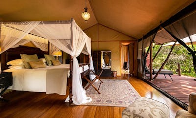Luxury Tents