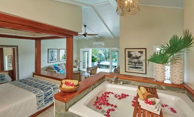 GRANDE PLUNGE POOL BUTLER SUITE