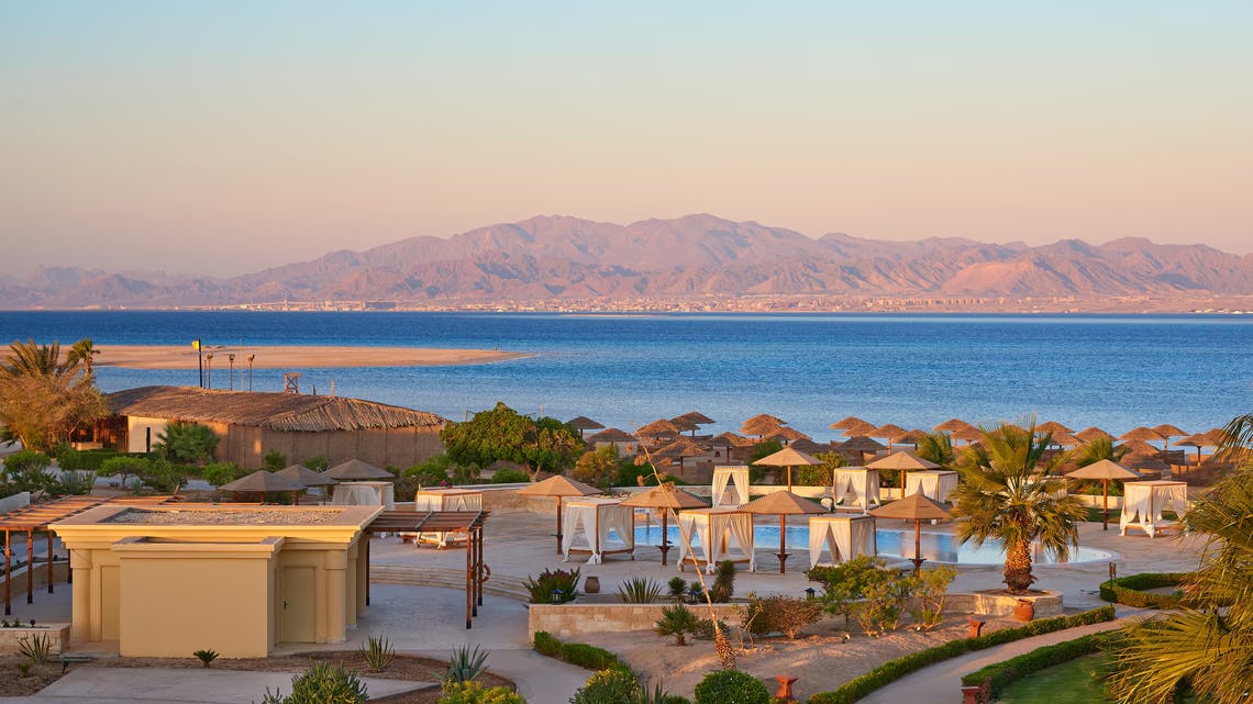 1 Bedroom Executive Suite