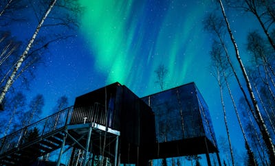 Silver Birch Resort Cabin