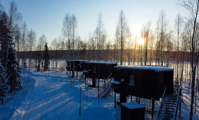 Silver Birch Resort Cabin