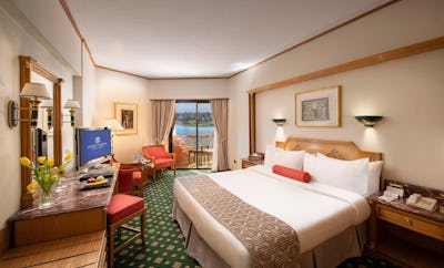 Standard Side Nile View Room