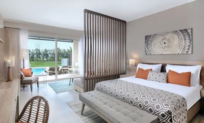 EXECUTIVE SUITE WITH SWIM-UP POOL