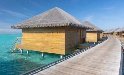 Lagoon Suite with Slide