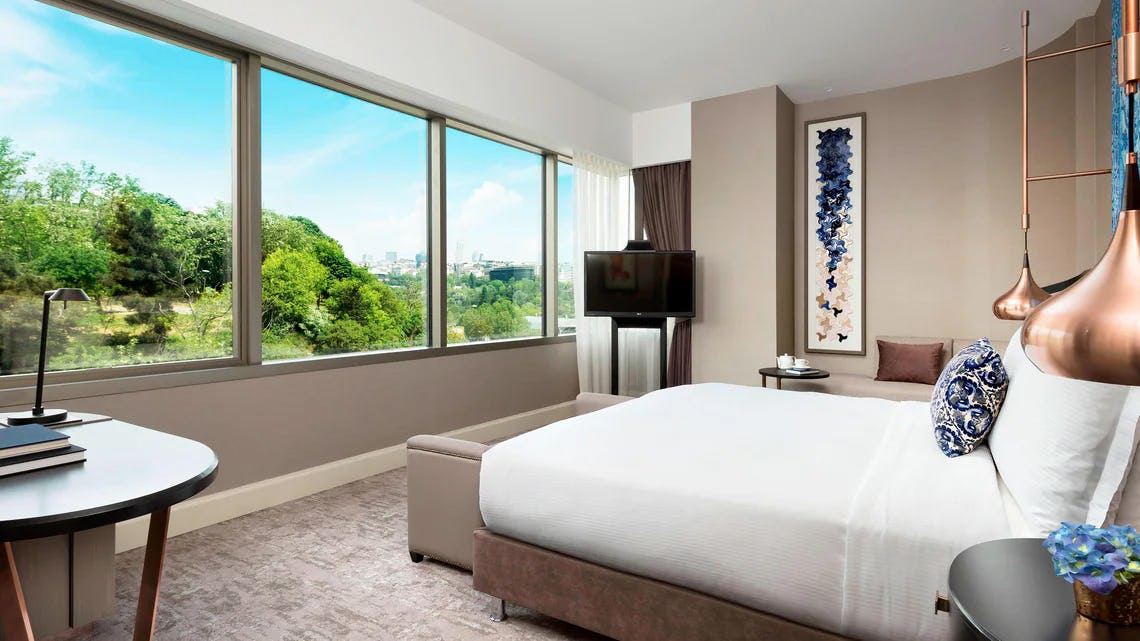 King Room with Park View