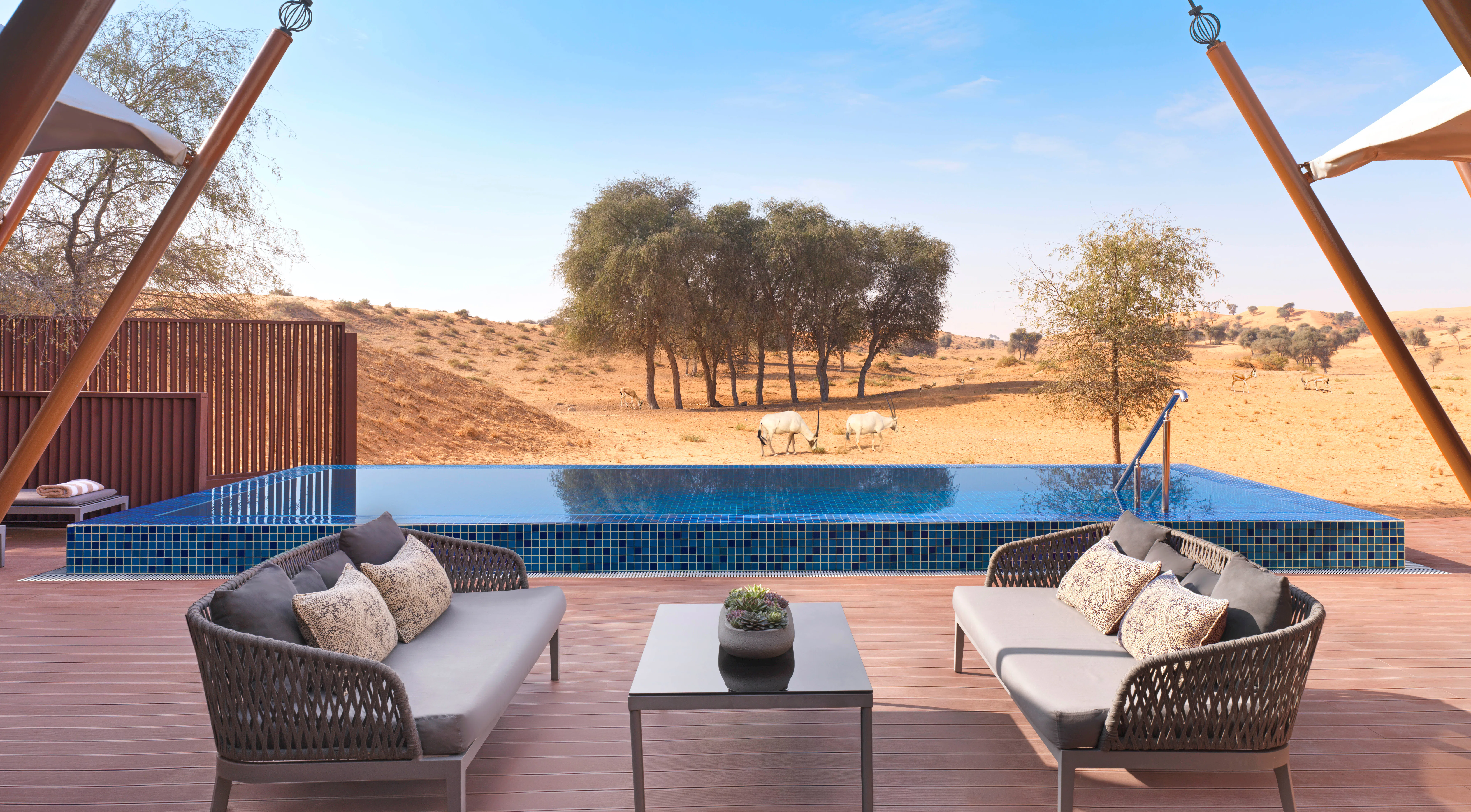 the-ritz-carlton-ras-al-khaimah-al-wadi-desert-al-sarab-tented-villa-01_8002
