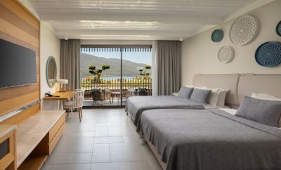 Standard Partial Sea View Room