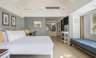 TROPICAL GARDEN VIEW