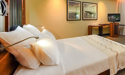 Tropical Junior Suite