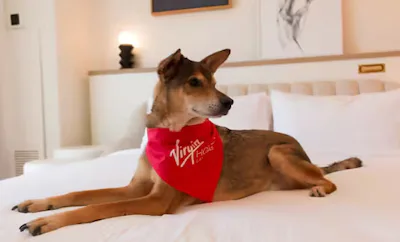RUBY 2 QUEENS DOG GRAND CHAMBER SUITE