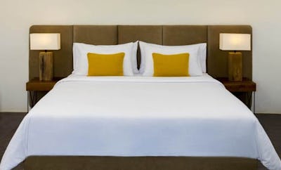 Deluxe Double Pool View