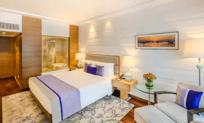 Deluxe Suite City View King Bed