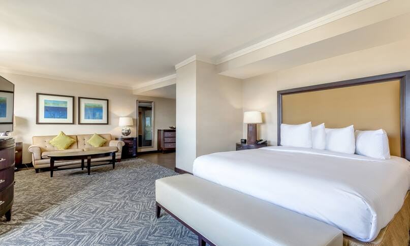 Presidential Suite 1 King Bed